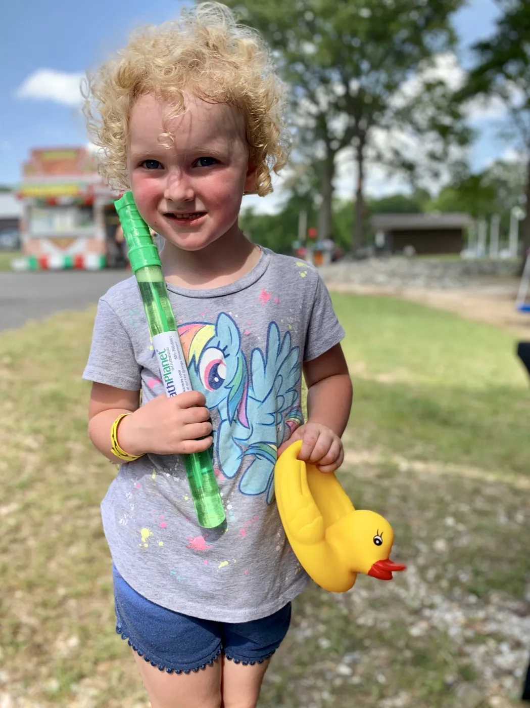 Malvern's Brickfest 2019, photo 1